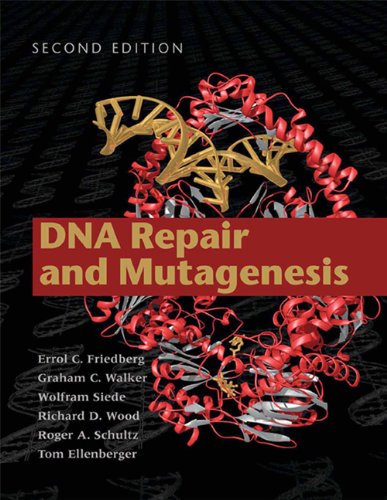 9781555813192: DNA Repair and Mutagenesis