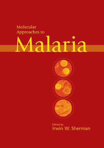 Stock image for Molecular Approaches To Malaria (Hb) for sale by Basi6 International