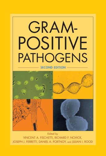 Imagen de archivo de Gram-Positive Pathogens a la venta por HPB-Red