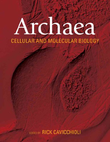 Beispielbild fr Archaea: Molecular an Cellular Biology zum Verkauf von COLLINS BOOKS