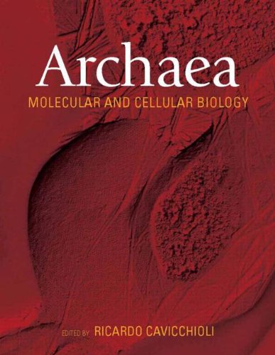 Stock image for Archaea Molecular and Cellular Biology for sale by Bulk Book Warehouse