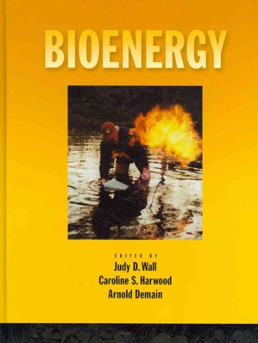Beispielbild fr Bioenergy zum Verkauf von Books From California