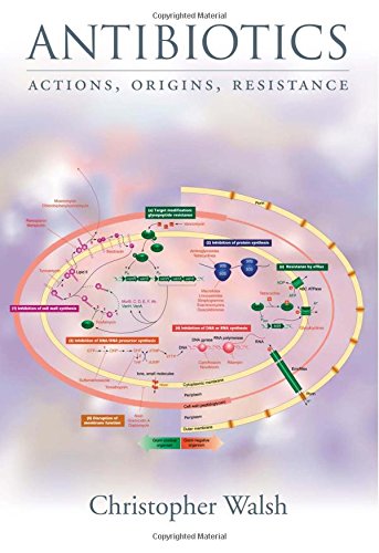 9781555818937: Antibiotics: Actions, Origins, Resistance