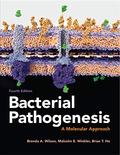 9781555819408: Bacterial Pathogenesis: A Molecular Approach