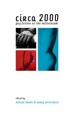 Beispielbild fr Circa 2000: Gay Fiction at the Millennium zum Verkauf von HPB Inc.