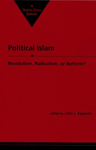 Imagen de archivo de Political Islam : Revolution, Radicalism or Reform? a la venta por Better World Books