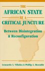 9781555876289: The African State at a Critical Juncture: Between Disintegration and Reconfiguration