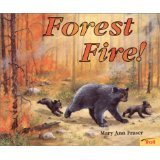 Beispielbild fr Forest Fire! zum Verkauf von Better World Books