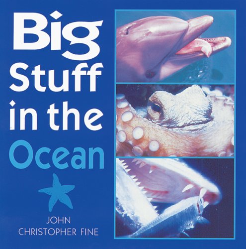 Imagen de archivo de Big Stuff in the Ocean a la venta por HPB-Diamond