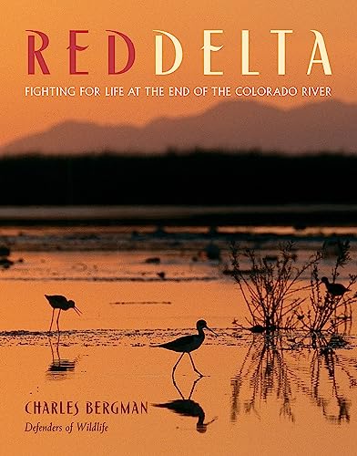 Imagen de archivo de Red Delta : Fighting for Life at the End of the Colorado River a la venta por Better World Books: West