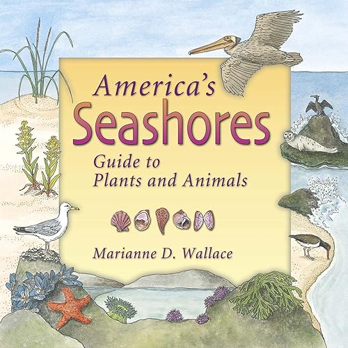 Beispielbild fr America's Seashores : Guide to Plants and Animals zum Verkauf von Better World Books