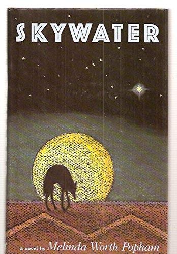 9781555971274: Skywater: A Novel