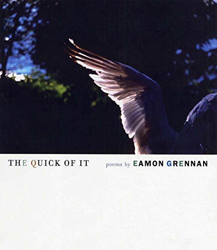 9781555974183: The Quick of It: Poems