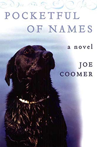 Stock image for Pocketful of Names: A Novel for sale by ZBK Books