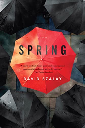Beispielbild fr Spring: A Novel zum Verkauf von SecondSale