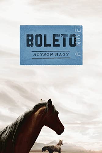 Beispielbild fr Boleto: A Novel zum Verkauf von Your Online Bookstore