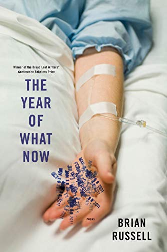 Beispielbild fr The Year of What Now : Poems zum Verkauf von Better World Books