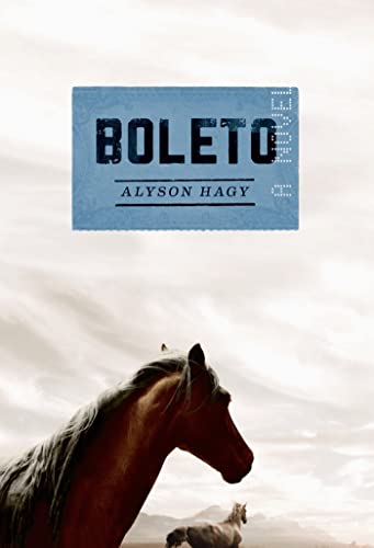 Beispielbild fr Boleto : A Novel zum Verkauf von WorldofBooks