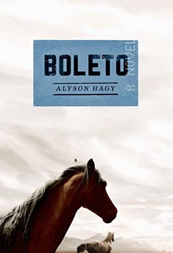 Imagen de archivo de Boleto: A Novel a la venta por SecondSale