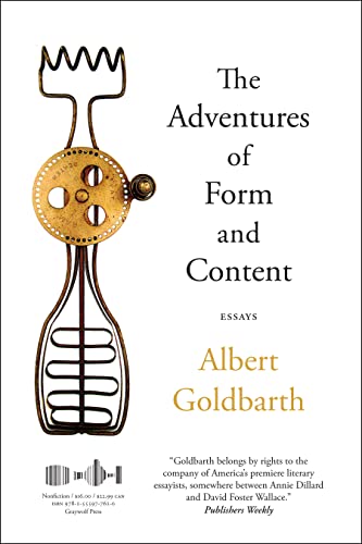 Beispielbild fr The Adventures of Form and Content : Essays zum Verkauf von Better World Books
