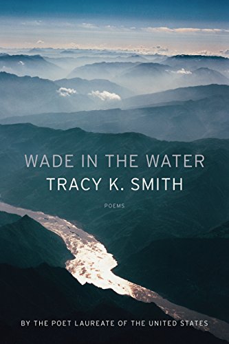 9781555978136: Wade in the Water: Poems