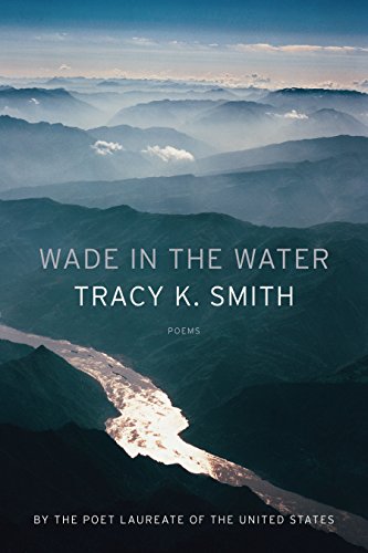 Stock image for Wade in the Water : Poems for sale by Better World Books