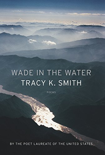 9781555978365: Wade in the Water: Poems