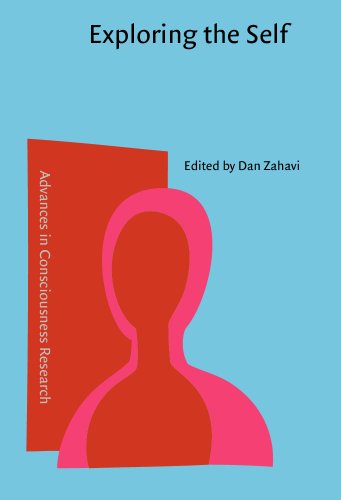 Beispielbild fr Exploring the Self: Philosophical and psychopathological perspectives on self-experience (Advances in Consciousness Research) zum Verkauf von Books From California