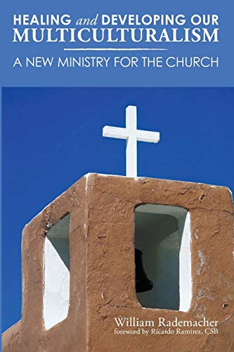 Stock image for Healing and Developing Our Multiculturalism: A New Ministry for the Church for sale by Redux Books