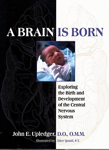 9781556432361: A Brain is Born: Craniosacral Therapy and Prenatal Development