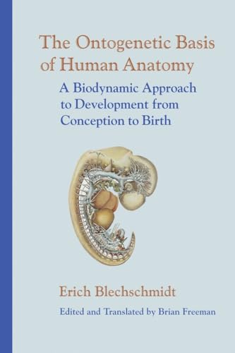 Stock image for The Ontogenetic Basis of Human Anatomy: A Biodynamic Approach to Development from Conception to Birth for sale by Ergodebooks