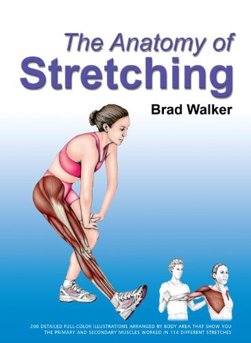 Stock image for The Anatomy of Stretching for sale by Ergodebooks