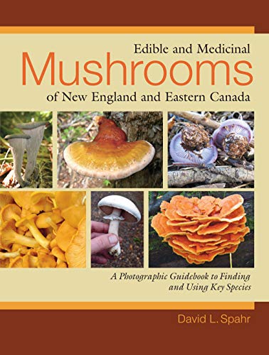 Stock image for Edible and Medicinal Mushrooms of New England and Eastern Canada: A Photographic Guidebook to Finding and Using Key Species for sale by HPB-Emerald