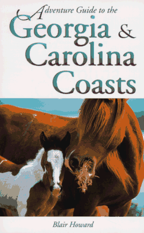 Stock image for Adventure Guide to the Georgia & Carolina Coasts (Adventure Guide Series) for sale by Wonder Book