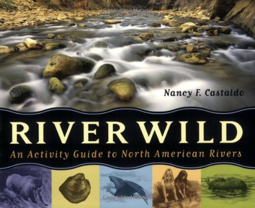 Stock image for River Wild: An Activity Guide to North American Rivers for sale by Ergodebooks