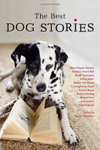 Imagen de archivo de The Best Dog Stories a la venta por SecondSale