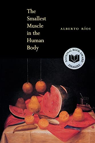 Beispielbild fr The Smallest Muscle in the Human Body zum Verkauf von Better World Books