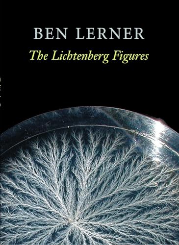 Beispielbild fr The Lichtenberg Figures (Hayden Carruth Award for New and Emerging Poets) zum Verkauf von BooksRun