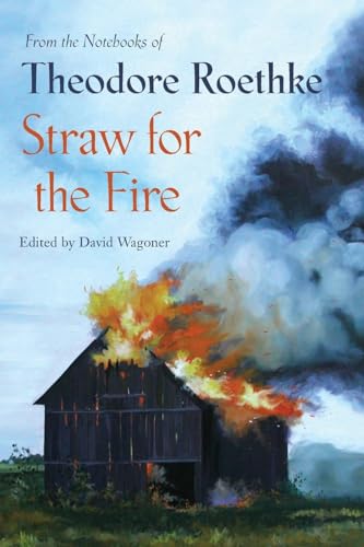 Beispielbild fr Straw for the Fire: From the Notebooks of Theodore Roethke zum Verkauf von BooksRun