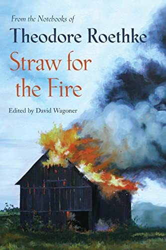 9781556592485: Straw for the Fire: From the Notebooks of Theodore Roethke