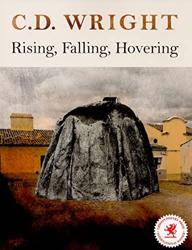 Beispielbild fr Rising, Falling, Hovering zum Verkauf von HPB-Emerald