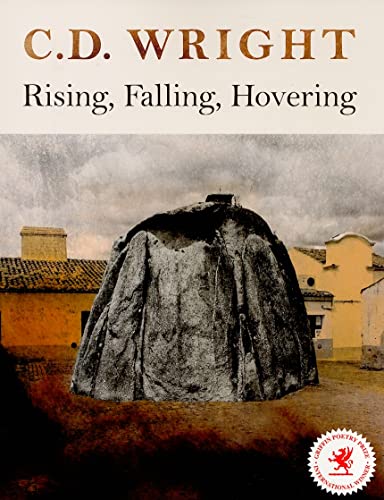 Imagen de archivo de Rising, Falling, Hovering a la venta por HPB-Emerald
