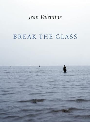 Imagen de archivo de Break the Glass a la venta por Better World Books
