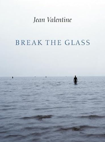 Stock image for Break the Glass for sale by Better World Books