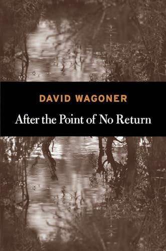 Beispielbild fr After the Point of No Return zum Verkauf von SecondSale