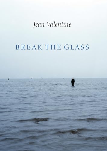 Stock image for Break the Glass for sale by ZBK Books