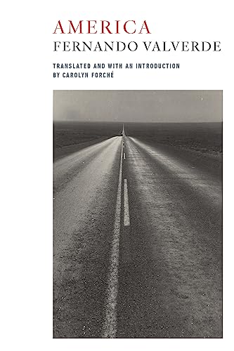 Imagen de archivo de America: Bilingual Edition a la venta por Books-FYI, Inc.