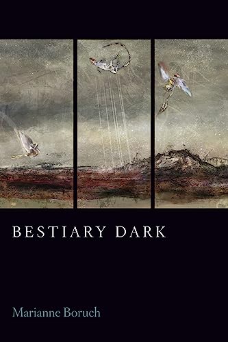 Stock image for Bestiary Dark for sale by HPB-Ruby