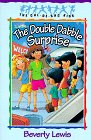 9781556616259: The Double Dabble Surprise: 1 (Cul-de-Sac Kids)