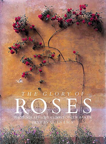 Imagen de archivo de Glory of Roses a la venta por Better World Books
